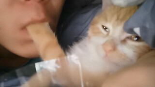 เกี่ยวกับเรื่องที่คนเก็บอึของฉันเป็นหมานิดหน่อย