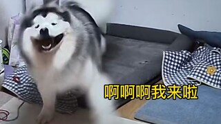 Xiu Gou: Of course I have to hug the person I miss when I go home!