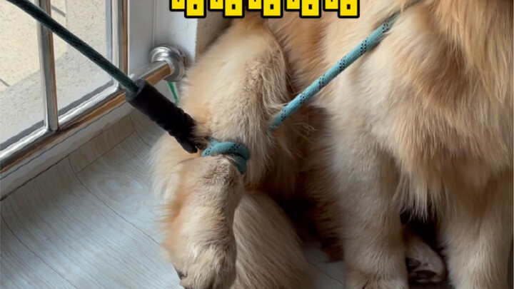 Unlock a new level of difficulty every day