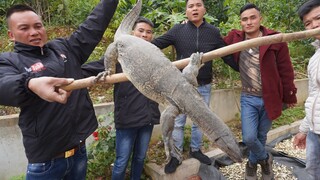 T.i.ế.t Canh, Rượu Mậ.t Kỳ Đà • Món không phải ai cũng dám thử