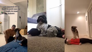 Don't test your dog's reaction to a fainting owner.