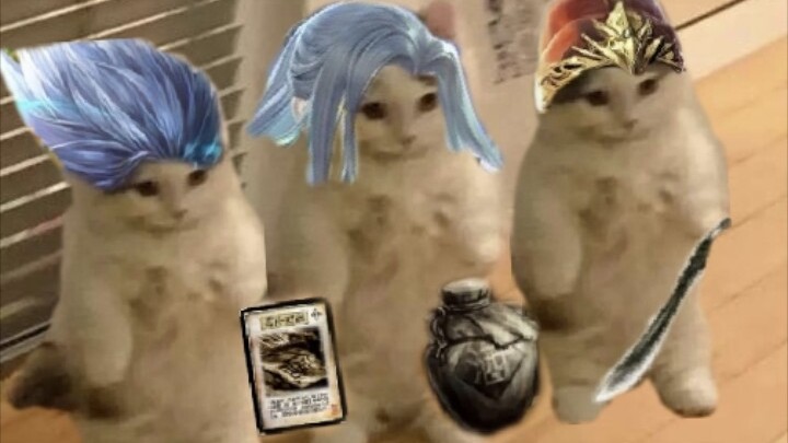 Would you like a cute little cat?