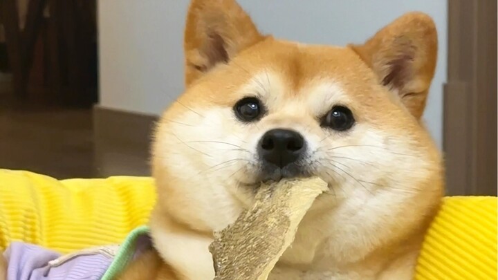 Ternyata memang benar... tomat tidak bisa lepas dari aroma durian!! Hahahaha