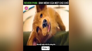 Review phim cuộc đời của một chú chó qua nhiều kiếp.hanhphuc chó_cưng xuhuong tiktok rewiewphim bóngda tình_yêu_học_đường RoadToSEAGames