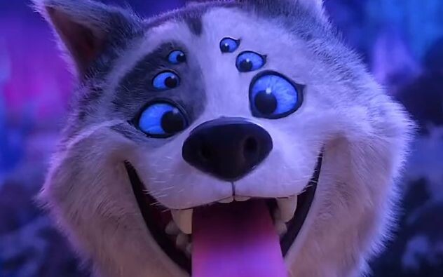 【The Croods】This wolf spider is so cute