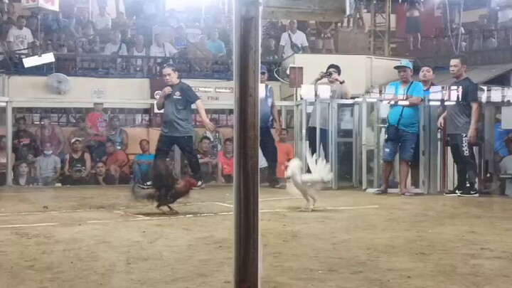 first fyt terminator black in action