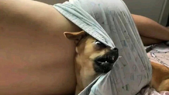 Ba năm đáng yêu chẳng ai quan tâm, một lần mất mặt cả thiên hạ biết!