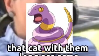 Pokeman's💀
