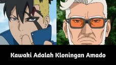 Kalo diperhatiin sih, Kawaki memang mirip Amado, apakah teori ini masuk akal?