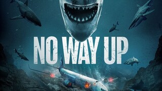 No Way Up (2024) งาบคลั่งไฟลต์