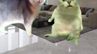 I didn't know speaking was hereditary.