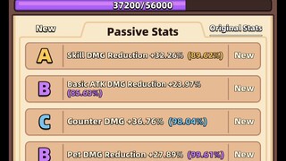 Pet Build Upgrade