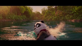 Panda Bear In Africa(2024) :Link In Description