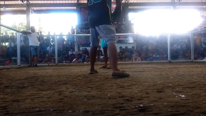 ROUNHEAD /HENNIE WIN