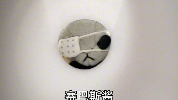 赛巴斯酱（掏掏掏）这是命令（掏掏掏）