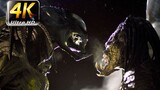 [Đặt lại màu 4K] "Predator vs. Alien 2" Chú Sói, cuối cùng tôi cũng có thể nhìn rõ chú rồi. Hãy sẵn 