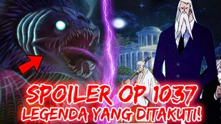 SPOILER OP 1037!! GOROSEI KETAKUTAN ATAS LEGENDA INI!! KAIDO MABUK DAN LUFFY ????