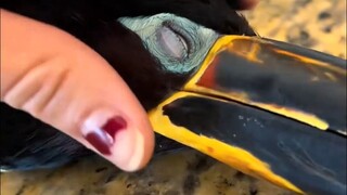 Maybe someone wants to give that rotten banana a try~