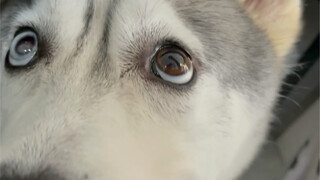 أشكُّ أنها تُحاول إخضاعي بعينيها.