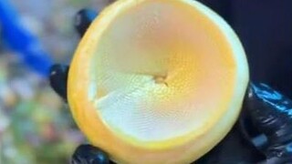 The first person to eat artichoke must have been really hungry.