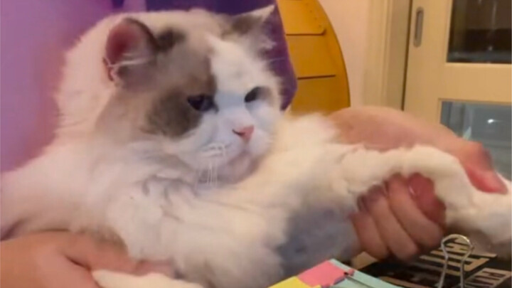 ท้าทาย BGM สองในหนึ่งเดียว