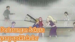 Pertarungan Sakura yang spektakuler