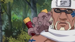 [Detailed Naruto] Broken tail and horn? Is the Eight-Tails the "worst tailed beast"?