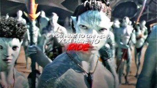 If you want to live here you have to ride (avatar edits) ( NOT MINE)