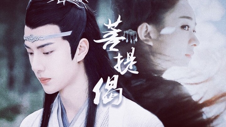 [Zhao Liying/Wang Yibo] [Lan Wangji/Hua Qian Gu] I’ve never believed in gods or spirits my whole lif