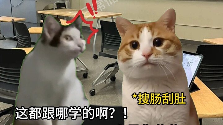 Foreigners, don’t get too obsessed with Li Ziqi’s language, okay!!