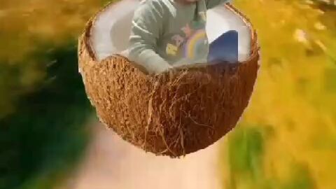 The adventures of cocoboy!