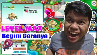 Cara UPGRADE Breeding Mountain Ke Level Max atau Tempat Kawin Naga (Dragon City Android)