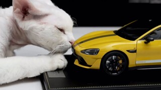 Bukan berarti Anda tidak mampu membeli Ultra, modelnya lebih hemat biaya