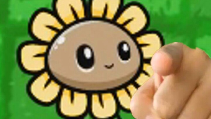 Quick, give Sunflower some suppository!