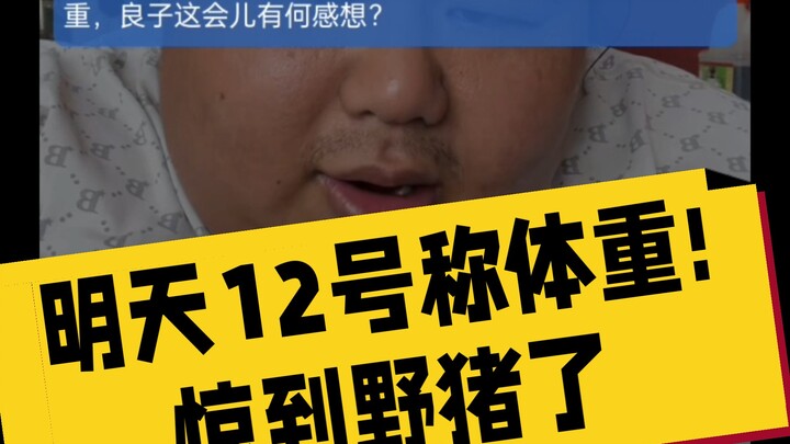 7月11日中午，SC提醒明天12号称体重。野猪局促不安、手足无措。注意! 这是一只不愿面对现实、不愿出栏的猪。可别安排车祸，为了延后称体重这一块。。。