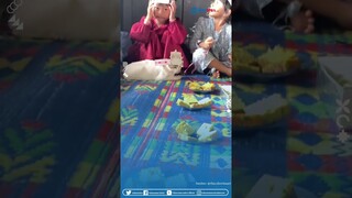 Momen Kocak Para Bocil Rayakan Ulang Tahun Kucing, DInyanyikan Pakai Bahasa Kucing Sekalian