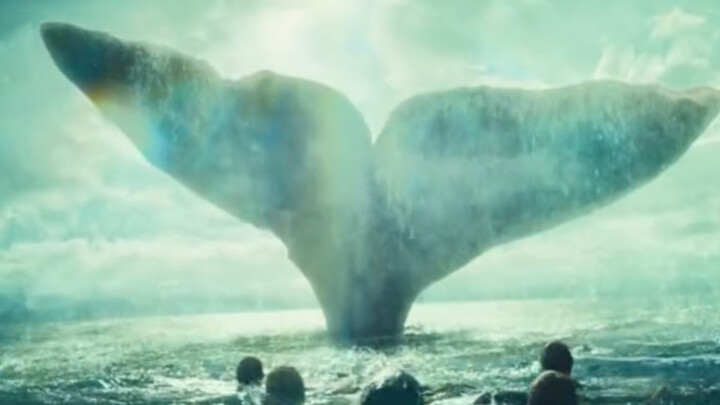 น้ำมันวาฬในหัวปลาวาฬล้ำค่ายิ่งกว่าทองคำ #น้ำมันวาฬ # (ตอนที่ 2)