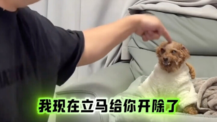 Giáo viên nước ngoài ngày càng tinh vi rồi!