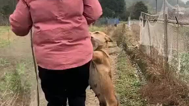 ทำไมตีฉันล่ะ ไม่ได้เหมือนเลยเหรอ?