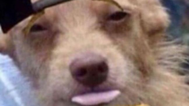 i just wanna share this cuz...its so lovely~♡ just like you. (trust me)