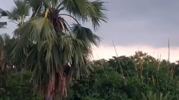 teri nazar jhuke to