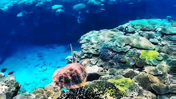 yang peduli pasti mengerti