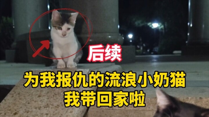 Cảm ơn anh đã từng che chở em, từ nay đến lượt em che chở anh!