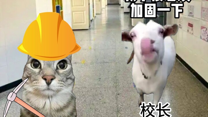 十几年被喷不务正业的校长