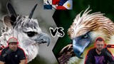 Americans React To The Philippines Eagle VS The Harpy Eagle - Who is the king of the eagles ?