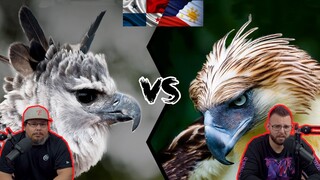 Americans React To The Philippines Eagle VS The Harpy Eagle - Who is the king of the eagles ?