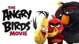 ANGRY BIRDS MOVIE (2016)