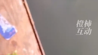 رجل يأخذ ابنه لإطلاق ضفادع، لكن الضفادع لم تمضغ كثيرًا حتى التهمتها الأسماك.