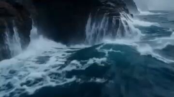 dragon lord