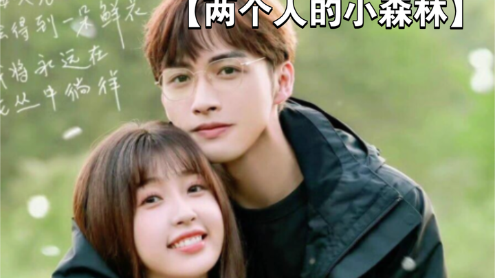 [A Little Forest for Two] A husband-and-wife duo investigates illegal wildlife smuggling and takes d